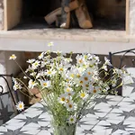 Father's Heart - Zf Hvar Villa *