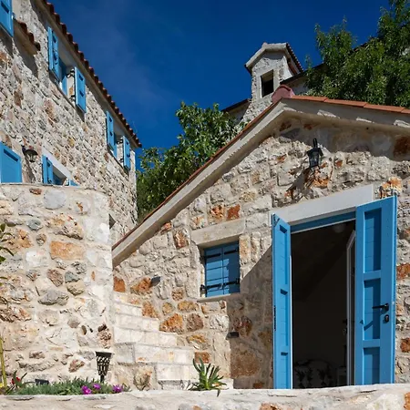 Father's Heart - Zf Hvar Zarače